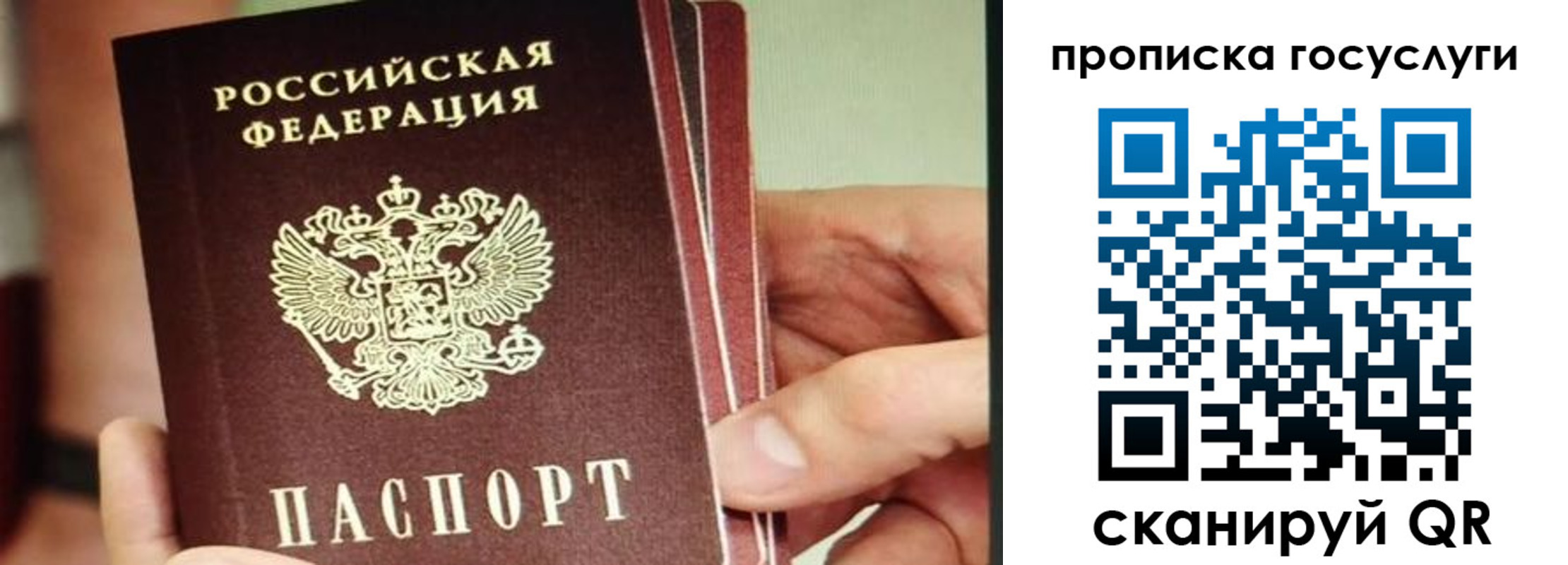 пропишу в квартире в Выборге